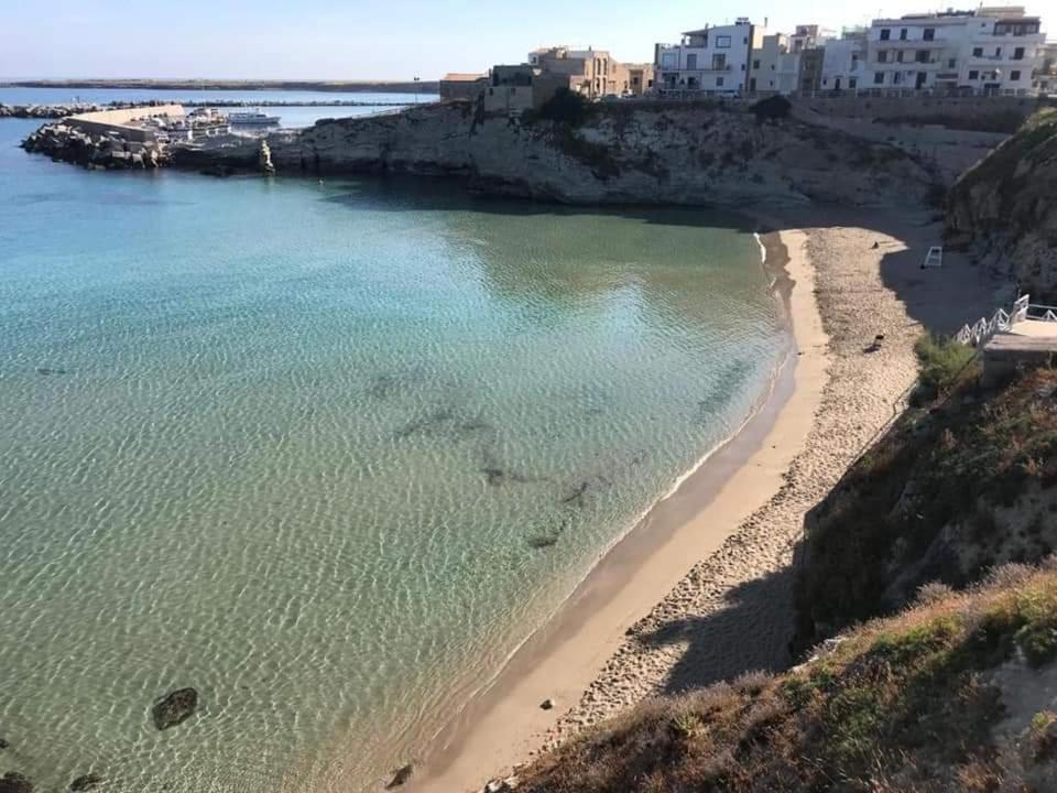 Il Moro - Casa Vacanze Terrasini Zewnętrze zdjęcie