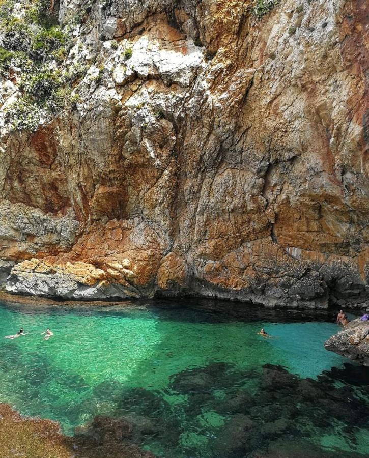 Il Moro - Casa Vacanze Terrasini Zewnętrze zdjęcie