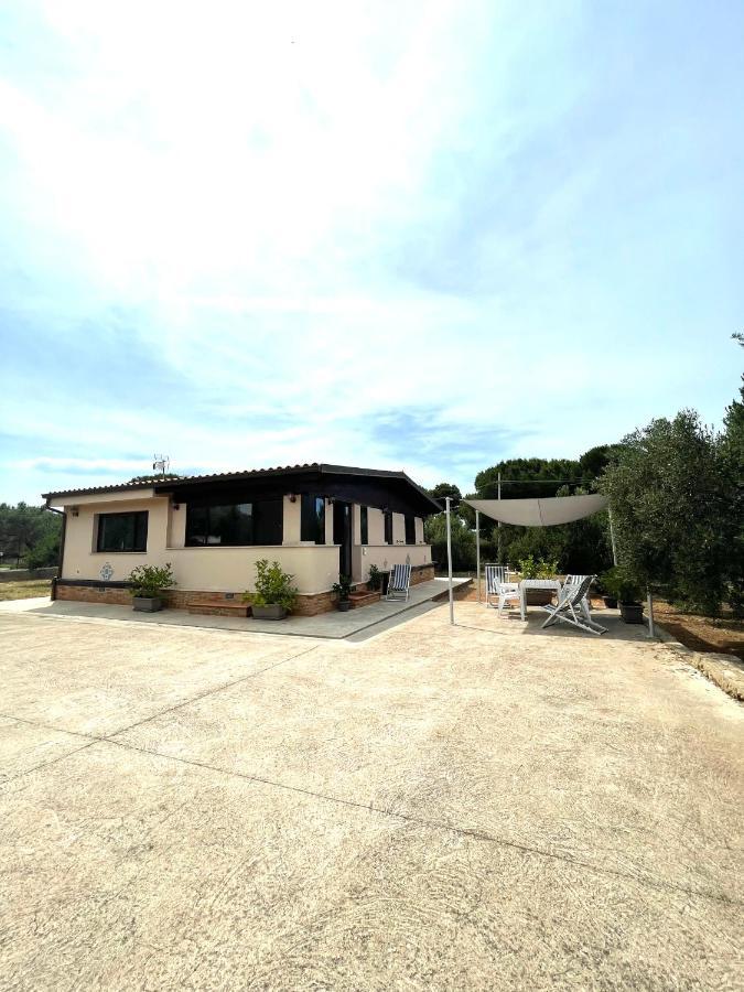 Il Moro - Casa Vacanze Terrasini Zewnętrze zdjęcie